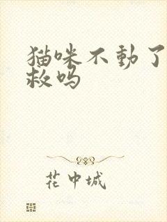 猫咪不动了还有救吗