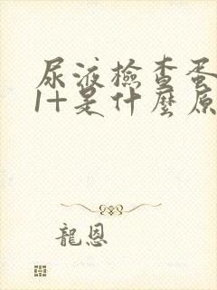 尿液检查蛋白质1+是什么原因