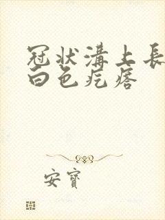 冠状沟上长一排白色疙瘩