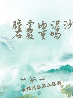 胆囊内泥沙样结石严重吗