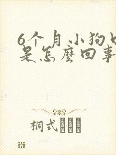 6个月小狗口臭是怎么回事