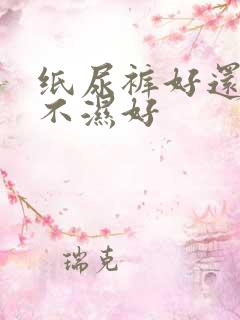 纸尿裤好还是尿不湿好