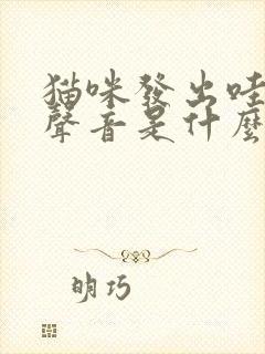 猫咪发出哇哦的声音是什么意思