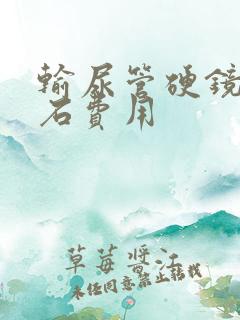 输尿管硬镜取结石费用