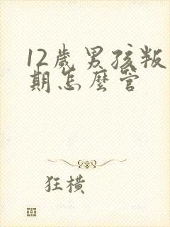 12岁男孩叛逆期怎么管