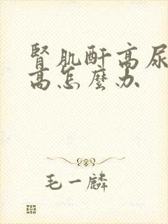 肾肌酐高尿蛋白高怎么办