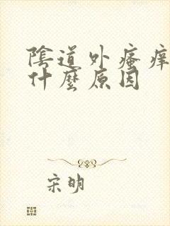 阴道外瘙痒痛是什么原因