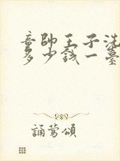 童帅王子洗衣机多少钱一台