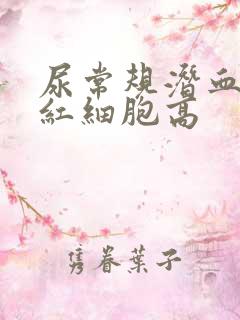 尿常规潜血3+红细胞高