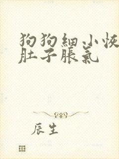 狗狗细小恢复期肚子胀气