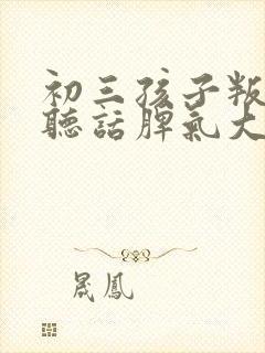 初三孩子叛逆不听话脾气大怎么办