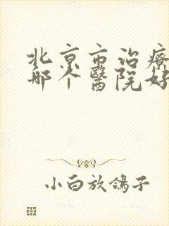 北京市治疗肾病哪个医院好