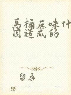 马桶反味什么原因造成的