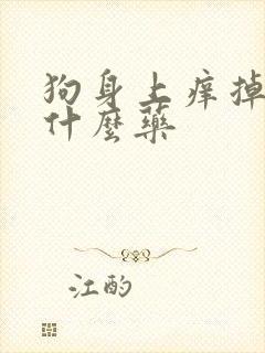 狗身上痒掉毛用什么药