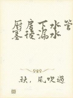 厨房下水管道堵塞后漏水