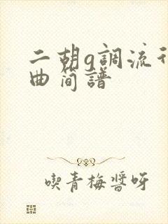 二胡g调流行歌曲简谱