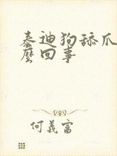 泰迪狗舔爪子怎么回事