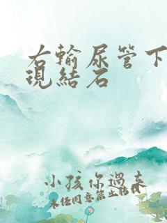 右输尿管下段出现结石