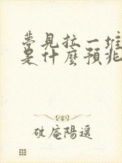 梦见拉一堆大便是什么预兆