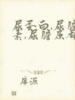 尿蛋白,尿胆红素,尿胆原都是阳性