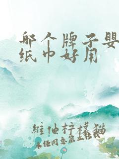 哪个牌子婴儿湿纸巾好用