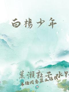 白杨少年