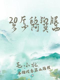 20斤的狗服用多少阿莫西林