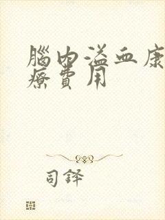 脑内溢血康复治疗费用