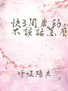 快3周岁的小孩不说话怎么办