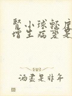 肾小球轻度系膜增生病变是什么