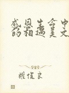 感恩生命中所有的相遇美文(通用10篇)