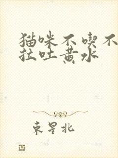 猫咪不吃不喝不拉吐黄水