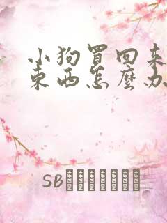 小狗买回来不吃东西怎么办