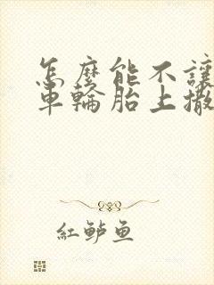 怎么能不让狗往车轮胎上撒尿