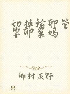 切掉输卵管会影响卵巢吗