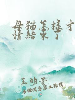 母猫怎样才算发情结束了