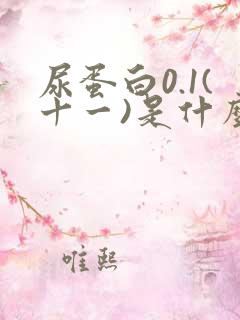 尿蛋白0.1(十一)是什么意思