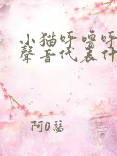 小猫呼噜呼噜的声音代表什么