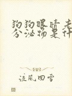 狗狗眼睛老是有分泌物是什么原因