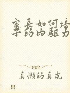 家长如何培养孩子的内驱力