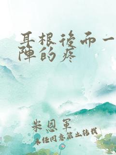 耳根后面一阵一阵的疼