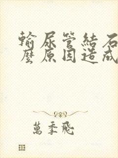 输尿管结石是什么原因造成的