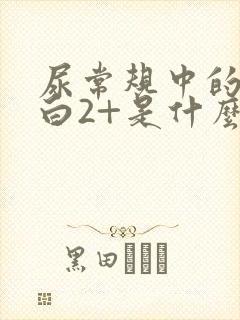 尿常规中的尿蛋白2+是什么意思