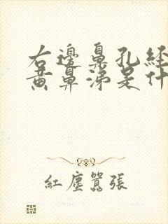 右边鼻孔经常流黄鼻涕是什么原因