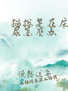 猫总是在床上拉尿怎么办