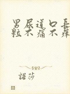 男尿道口长小肉粒不痛不痒