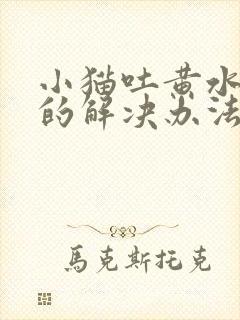 小猫吐黄水最好的解决办法