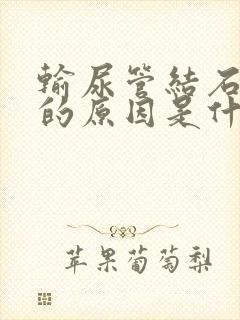 输尿管结石引起的原因是什么