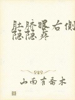 肚脐眼右侧上方隐隐疼