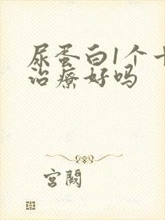 尿蛋白1个十能治疗好吗